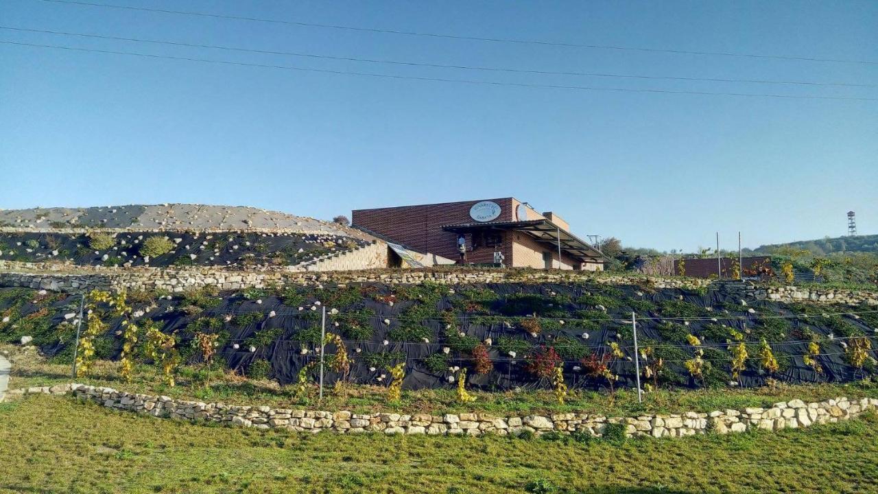 Penzion U Vinarstvi Sabata Zaječí Εξωτερικό φωτογραφία